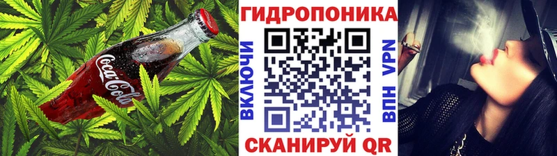 Купить закладки  Чёрмоз  Cannafood конопля 