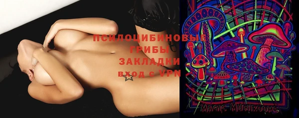 стафф Гусь-Хрустальный