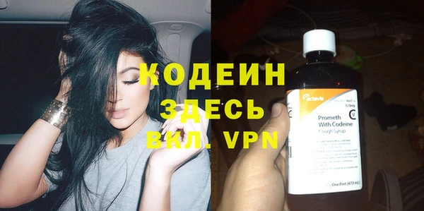 стафф Гусев