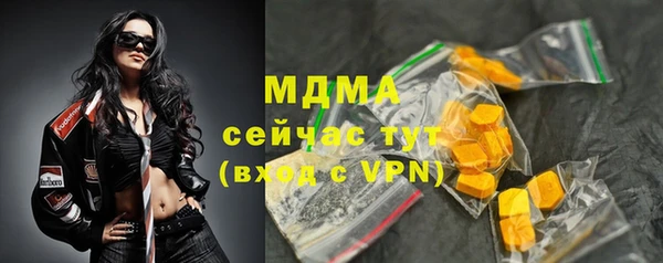 стафф Гусев