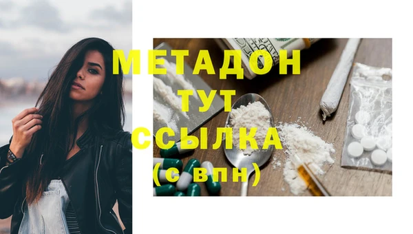 стафф Гусев