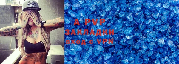 стафф Гусев