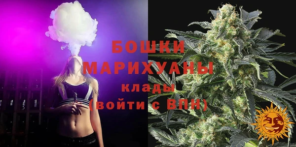 стафф Гусь-Хрустальный