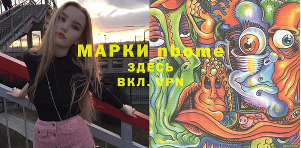 стафф Гусев