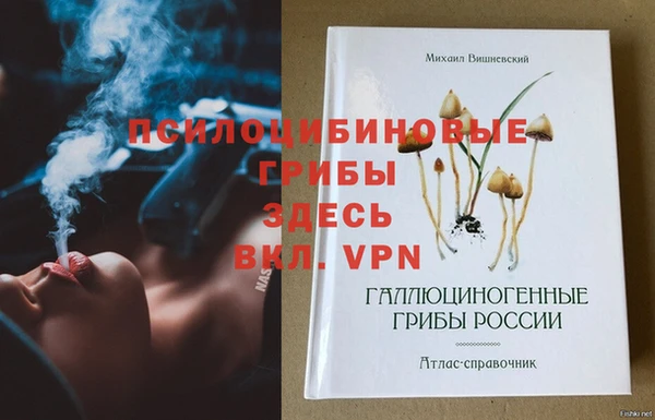 стафф Гусев