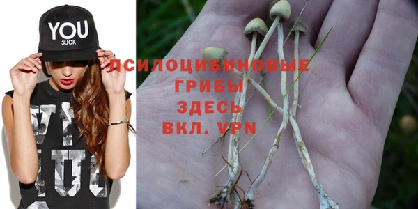Альфа ПВП Горнозаводск