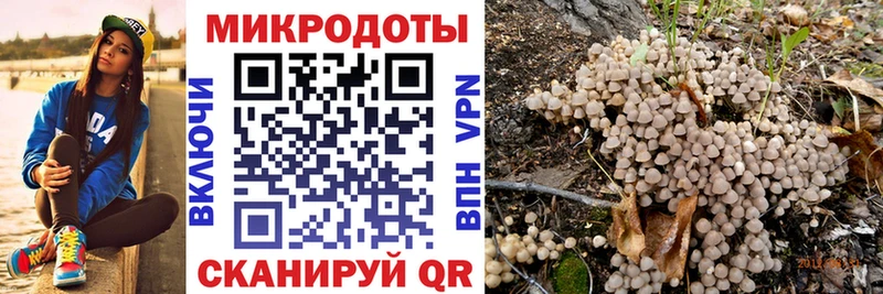 Псилоцибиновые грибы Psilocybe  Купить  Чёрмоз 